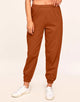 Walkpop Sierra Sweatpant Classic Fleece Sweatpant in color Rust and shape pant